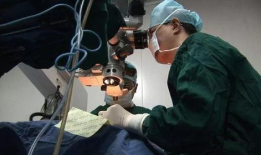 带环视频,揭秘带环视频的精彩瞬间